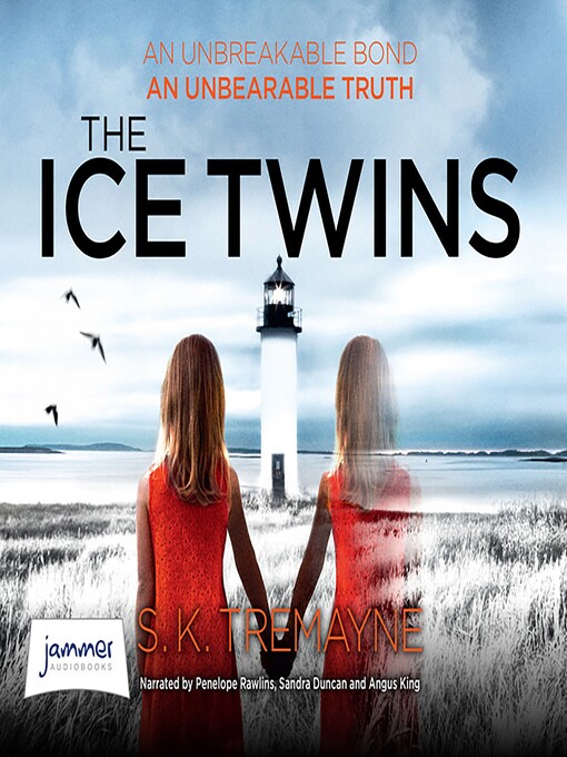 Title details for The Ice Twins by S.K. Tremayne - Wait list